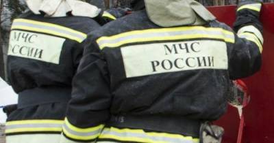 Женщина и двое детей погибли при пожаре в Московской области - argumenti.ru - Московская обл. - Гсуск