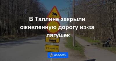 В Таллине закрыли оживленную дорогу из-за лягушек - news.mail.ru - Эстония - Таллин