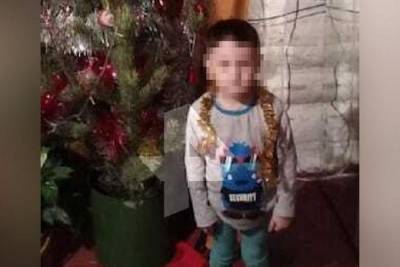 Погибший от укусов собак 4-летний малыш из Башкирии не дожил 10 дней до своего юбилея - bash.news - Башкирия - район Учалинский