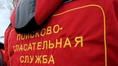 Олег Никитин - Волонтеры разыскивают пропавшую школьницу из Балтийска - nation-news.ru - Санкт-Петербург - Калининград - Балтийск