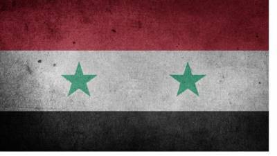 Башар Асад - Президентские выборы в Сирии назначены на конец мая - piter.tv - Сирия
