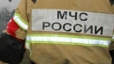 Олег Никитин - Сотрудники МЧС Рязанской области спасли почти 30 сапсерферов на Оке - nation-news.ru - Рязанская обл.