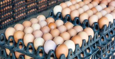 Как правильно хранить куриные яйца, объяснил американский фермер - lenta.ua - штат Небраска