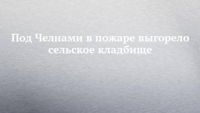 Под Челнами в пожаре выгорело сельское кладбище - chelny-izvest.ru