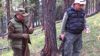 Сергей Шойгу - Владимир Путин - Дмитрий Песков - Песков: Путина пытаются отговаривать от опасных хобби - piter.tv