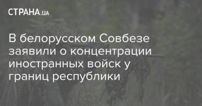 В белорусском Совбезе заявили о концентрации иностранных войск у границ республики - strana.ua - Литва - Латвия - Границы