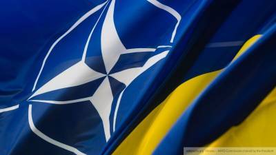 Андрей Мельник - Западу нравится смотреть, как Украина наносит обиды России - nation-news.ru - Киев