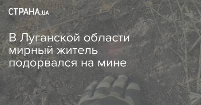 В Луганской области мирный житель подорвался на мине - strana.ua - Луганская обл. - Николаев - Донбасс