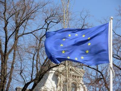Тоомас Хендрик Ильвес - Бывший президент Эстонии заявил, что нужно временно запретить въезд россиян в ЕС - vm.ru - Крым - Эстония