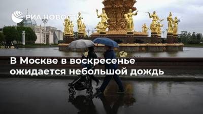 Евгений Тишковец - В Москве в воскресенье ожидается небольшой дождь - ria.ru - Москва - Московская обл.
