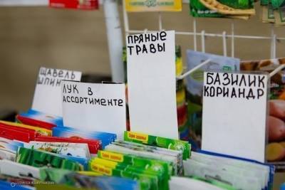Площади для ларьков выставлены в Петрозаводске на аукцион - karel.mk.ru - Петрозаводск - республика Карелия