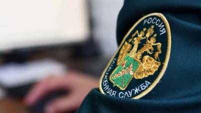 Уклонявшаяся от налогов компания из Выборга заплатит 600 млн рублей пени и штрафов - nation-news.ru