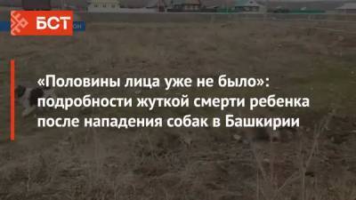 Александр Бастрыкин - «Половины лица уже не было»: подробности жуткой смерти ребенка после нападения собак в Башкирии - bash.news - Башкирия