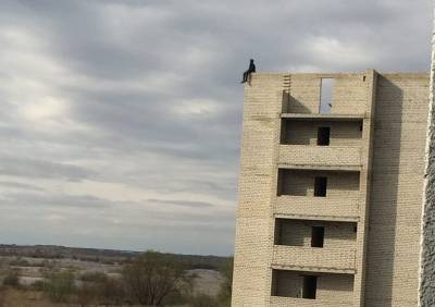 На крыше строящейся рязанской многоэтажки засняли подростка, сидящего на краю - ya62.ru - район Рязанский