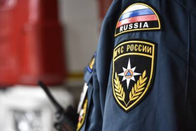Четырех человек спасли из горящей квартиры на севере Москвы - vm.ru - Москва