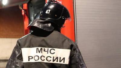Жилой многоэтажный дом загорелся на севере Москвы - iz.ru - Москва - Пензенская обл.
