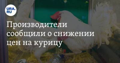 Производители сообщили о снижении цен на курицу - ura.news