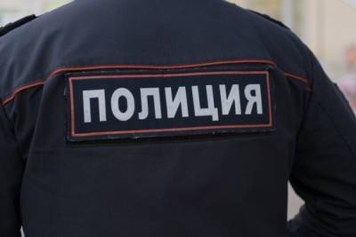 Жительница Санкт-Петербурга с ножом напала на девятилетнего сына - mk.ru - Ленинградская обл. - Санкт-Петербург - район Фрунзенский