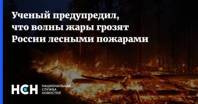 Владимир Семенов - Ученый предупредил, что волны жары грозят России лесными пожарами - nsn.fm