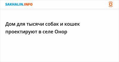 Дом для тысячи собак и кошек проектируют в селе Онор - sakhalin.info