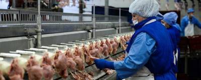 Сергей Лахтюхов - Цены на куриное мясо в РФ снижаются - runews24.ru