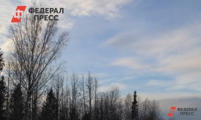 Жителей Красноярска предупредили о холодной погоде в предстоящую неделю - fedpress.ru - Красноярский край - Красноярск
