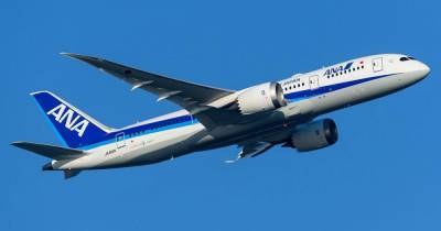 Названа причина экстренной посадки японского Boeing в Новосибирске - ren.tv - Токио - Новосибирск - Япония - Париж
