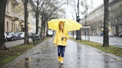 Воронежцам пообещали сильные дожди с градом и грозами на рабочей неделе - vestivrn.ru - Воронеж - Воронежская обл.