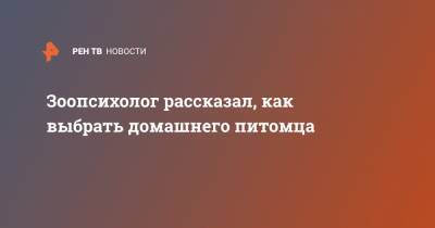 Зоопсихолог рассказал, как выбрать домашнего питомца - ren.tv