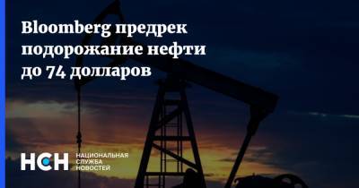 Bloomberg предрек подорожание нефти до 74 долларов - nsn.fm