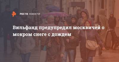 Роман Вильфанд - Вильфанд предупредил москвичей о мокром снеге с дождем - ren.tv - Москва