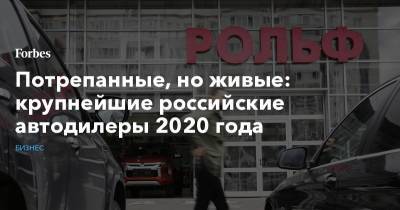 Томас Штэрцель - Потрепанные, но живые: крупнейшие российские автодилеры 2020 года - forbes.ru
