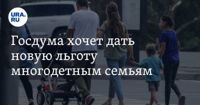 Татьяна Голикова - Госдума хочет дать новую льготу многодетным семьям - ura.news