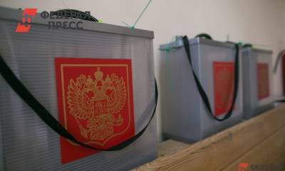 В Красноярске оспаривают итоги довыборов в горсовет - fedpress.ru - Челябинская обл. - Красноярск