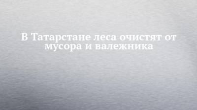 В Татарстане леса очистят от мусора и валежника - chelny-izvest.ru - респ. Татарстан