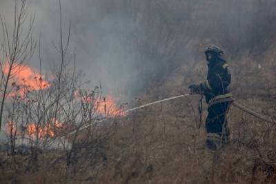 В Челябинской области в выходные произошло 14 лесных пожаров - znak.com - Челябинская обл. - район Саткинский - с. Всего