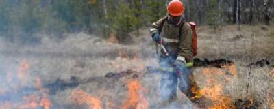 Фарит Гумеров - Первые лесные пожары зафиксированы в Башкирии - runews24.ru - Башкирия - Бирск - район Учалинский