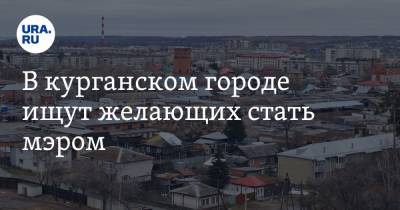 В курганском городе ищут желающих стать мэром - ura.news - Курганская обл. - Шадринск