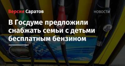 Татьяна Голикова - Валерий Рязанский - В Госдуме предложили снабжать семьи с детьми бесплатным бензином - nversia.ru