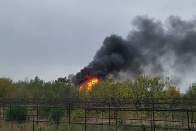 С начала года в огне погибли 30 жителей Донецка - mk.ru - Донецк