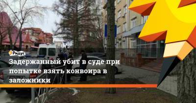 Задержанный убит в суде при попытке взять конвоира в заложники - ridus.ru - Новосибирск