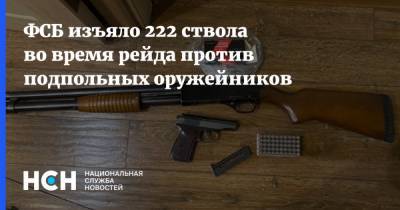 ФСБ изъяло 222 ствола во время рейда против подпольных оружейников - nsn.fm - Россия