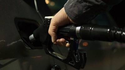 Росстат: Бензин лишается более дешевой альтернативы на российском рынке - delovoe.tv - Новосибирская обл.