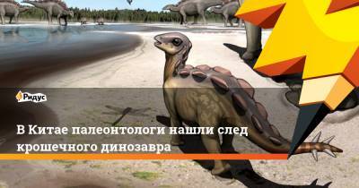 В Китае палеонтологи нашли след крошечного динозавра - ridus.ru