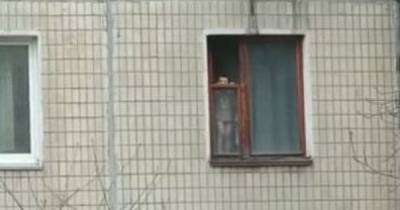 Уже раз выпал: в Кривом Роге ребенок регулярно стоит на окне многоэтажки (видео) - tsn.ua - Кривой Рог