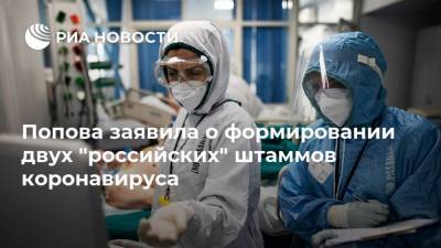 Анна Попова - Попова заявила о формировании двух "российских" штаммов коронавируса - ria.ru - Москва - Россия