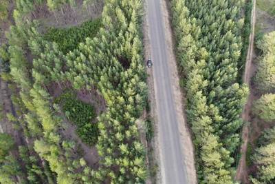 Власти Забайкалья ограничат посещение леса с 20 апреля по 10 мая - chita.ru - Забайкальский край - Забайкальск - Нерчинск - Сретенск