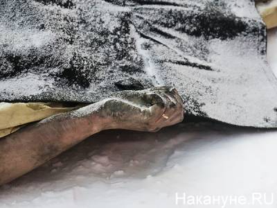 СКР проводит проверку по факту найденного в Заречном тела мужчины - nakanune.ru - Свердловская обл.