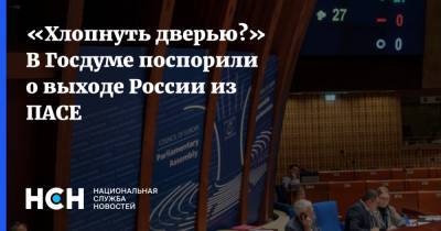 Леонид Калашников - «Хлопнуть дверью?» В Госдуме поспорили о выходе России из ПАСЕ - nsn.fm - Россия - Крым - ДНР - ЛНР