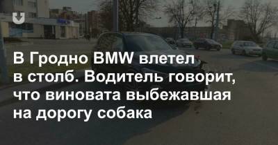 В Гродно BMW влетел в столб. Водитель говорит, что виновата выбежавшая на дорогу собака - news.tut.by